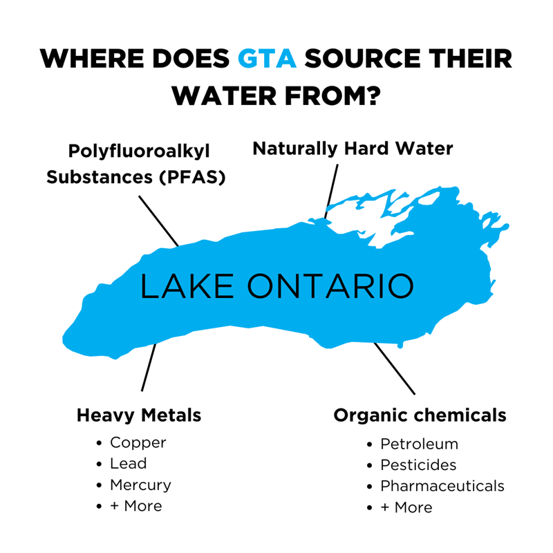 Lake Ontario's Contaminants